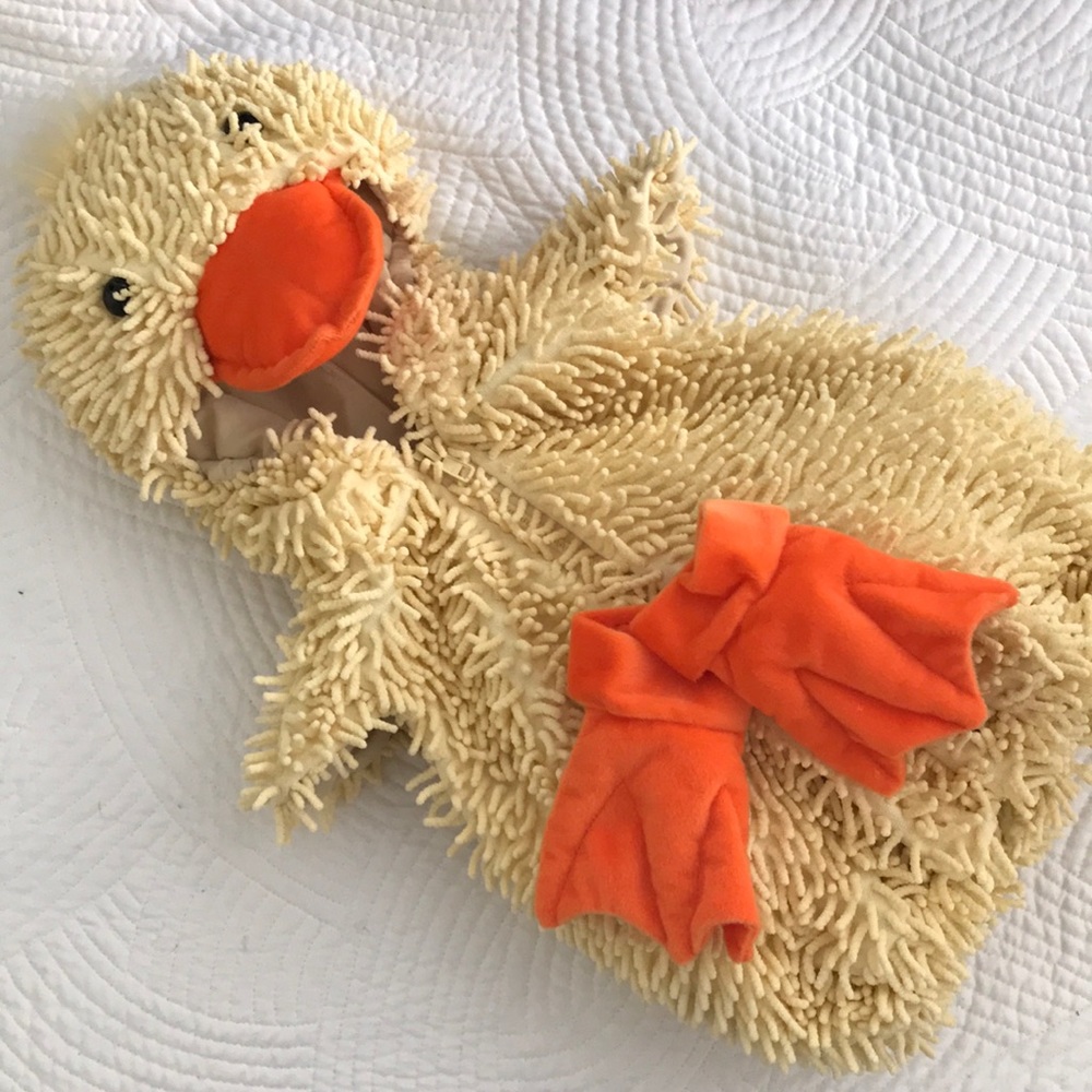 Baby Duckling Costume